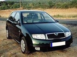 Skoda Fabia 1.9 SDI (6Y2) фото